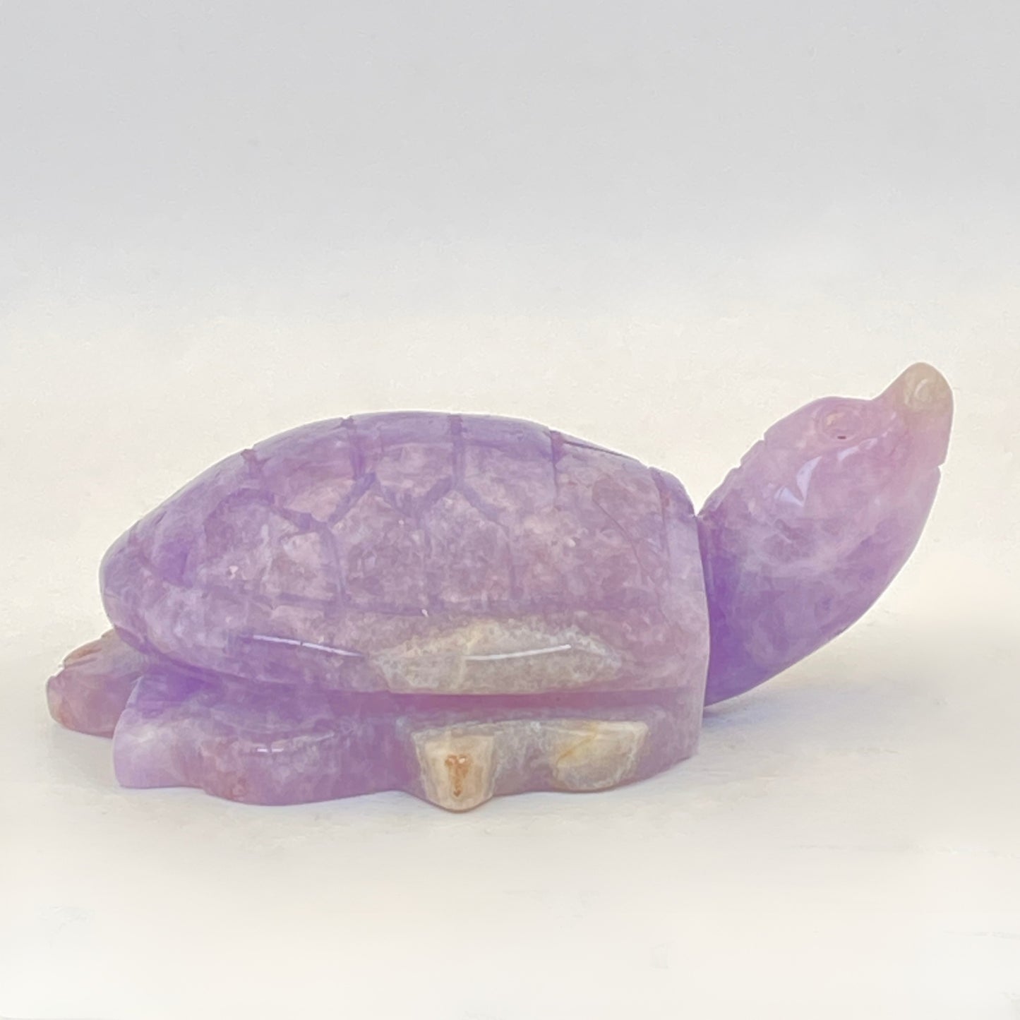 Mexican Agate with Amethyst Turtle