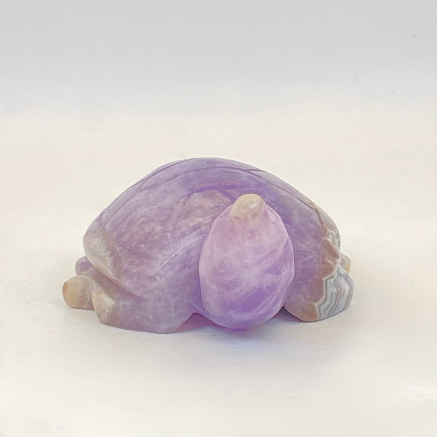 Mexican Agate with Amethyst Turtle