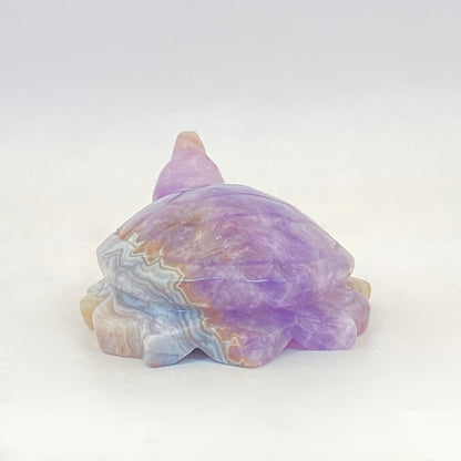 Mexican Agate with Amethyst Turtle