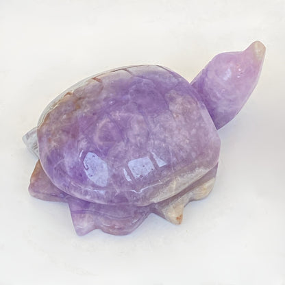 Mexican Agate with Amethyst Turtle