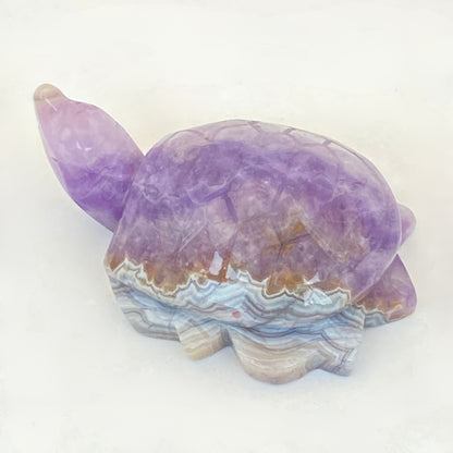 Mexican Agate with Amethyst Turtle