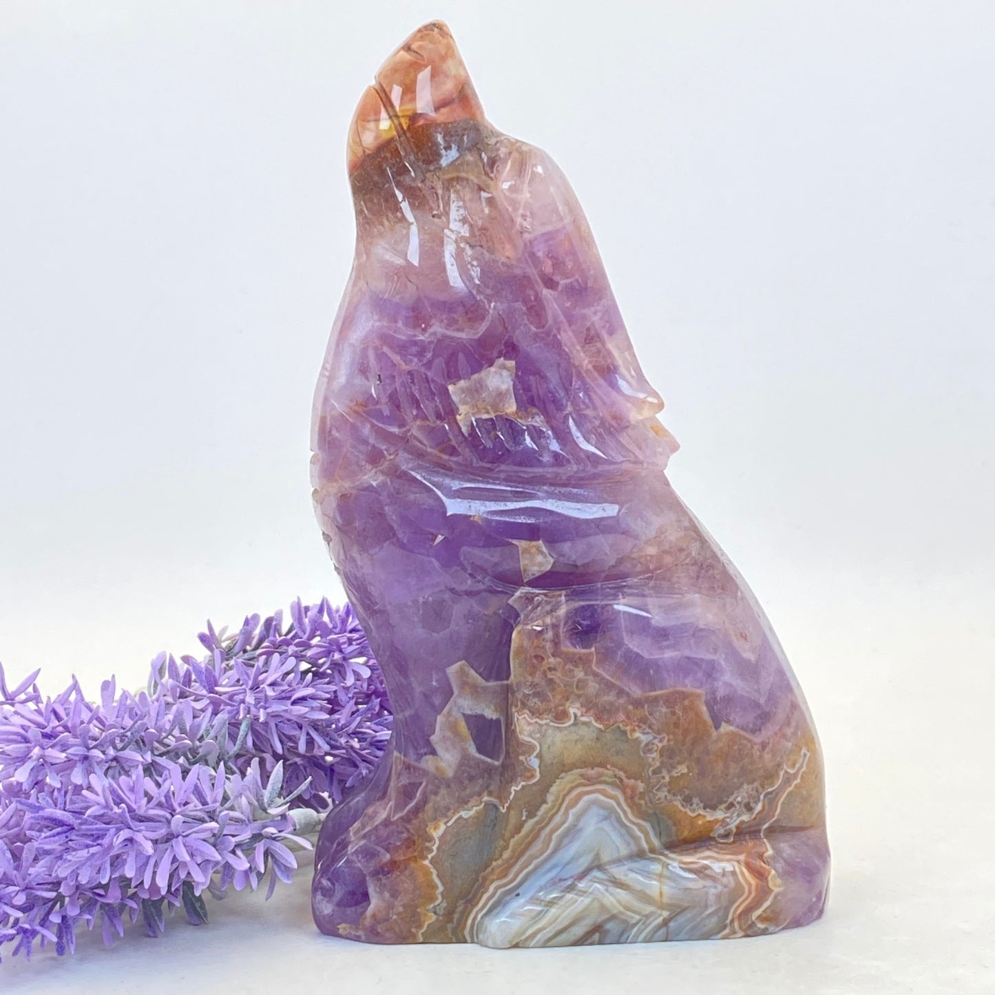 Mexican Agate with Amethyst Wolf - LARGE