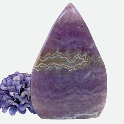 Mexican Agate with Amethyst Freeform #4