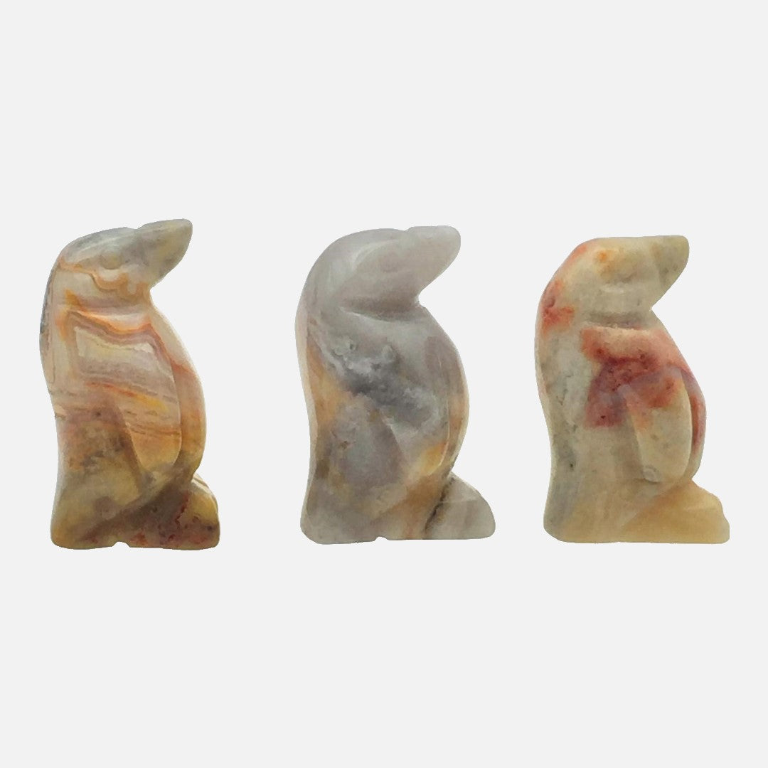 Crazy Lace Agate Penguin - Mini