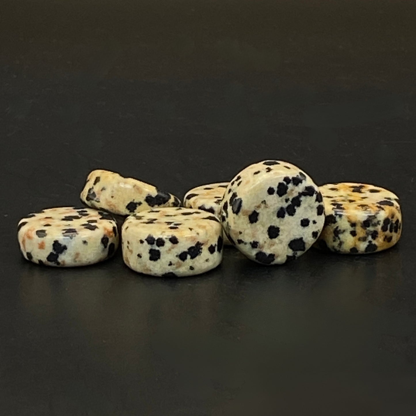 Dalmatian Jasper Mini Coin