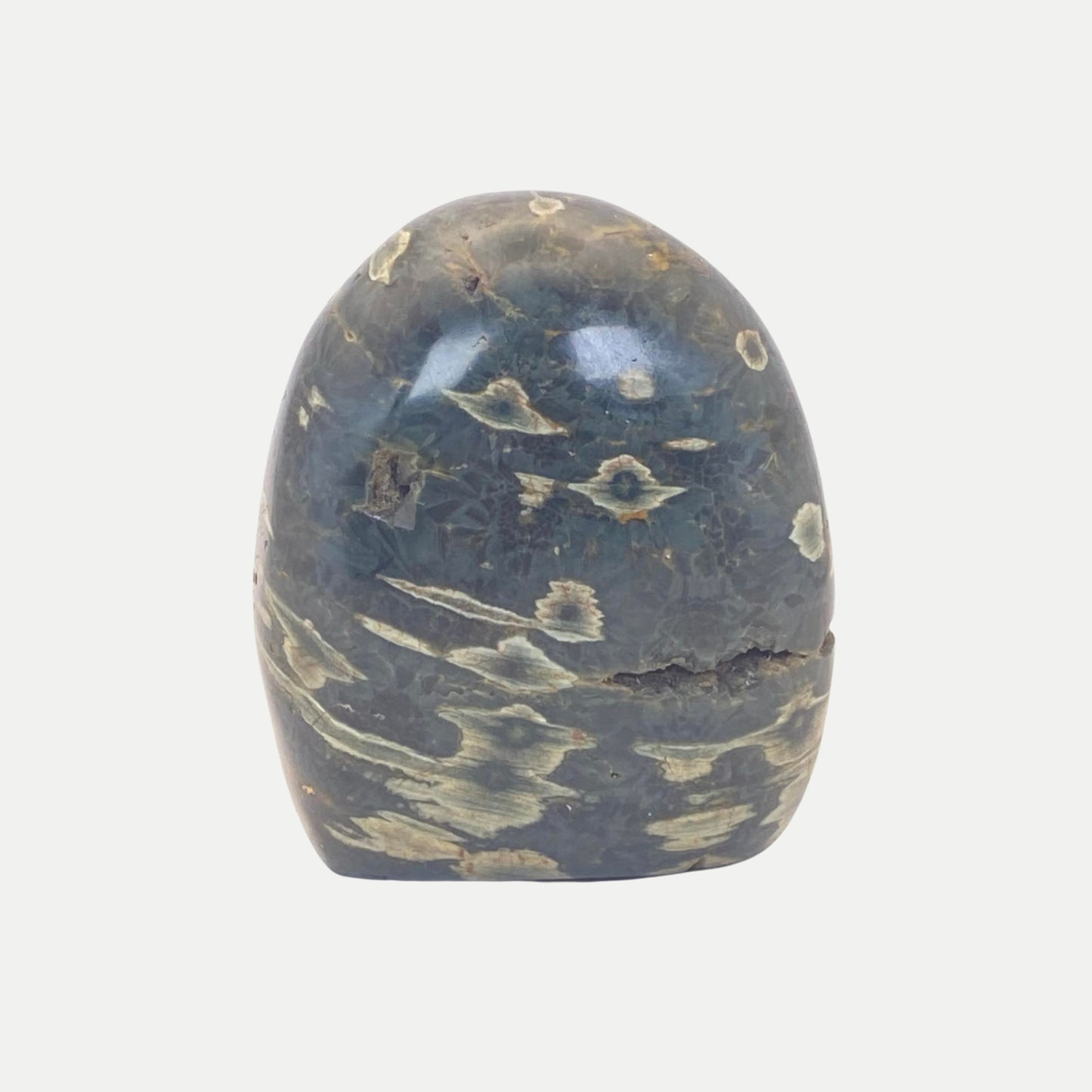 Ocean Jasper Freeform #1 - Orbicular