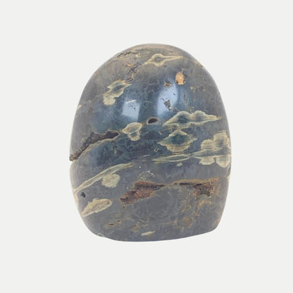 Ocean Jasper Freeform #1 - Orbicular