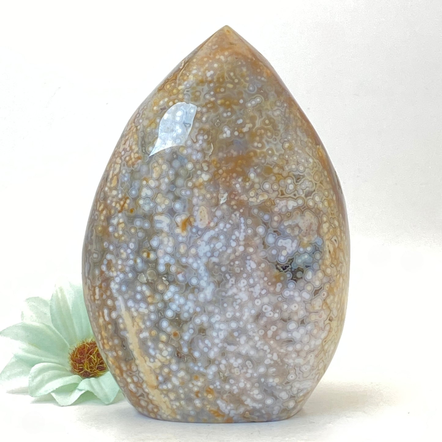 Ocean Jasper Freeform #3 - Half Polished/Half Raw