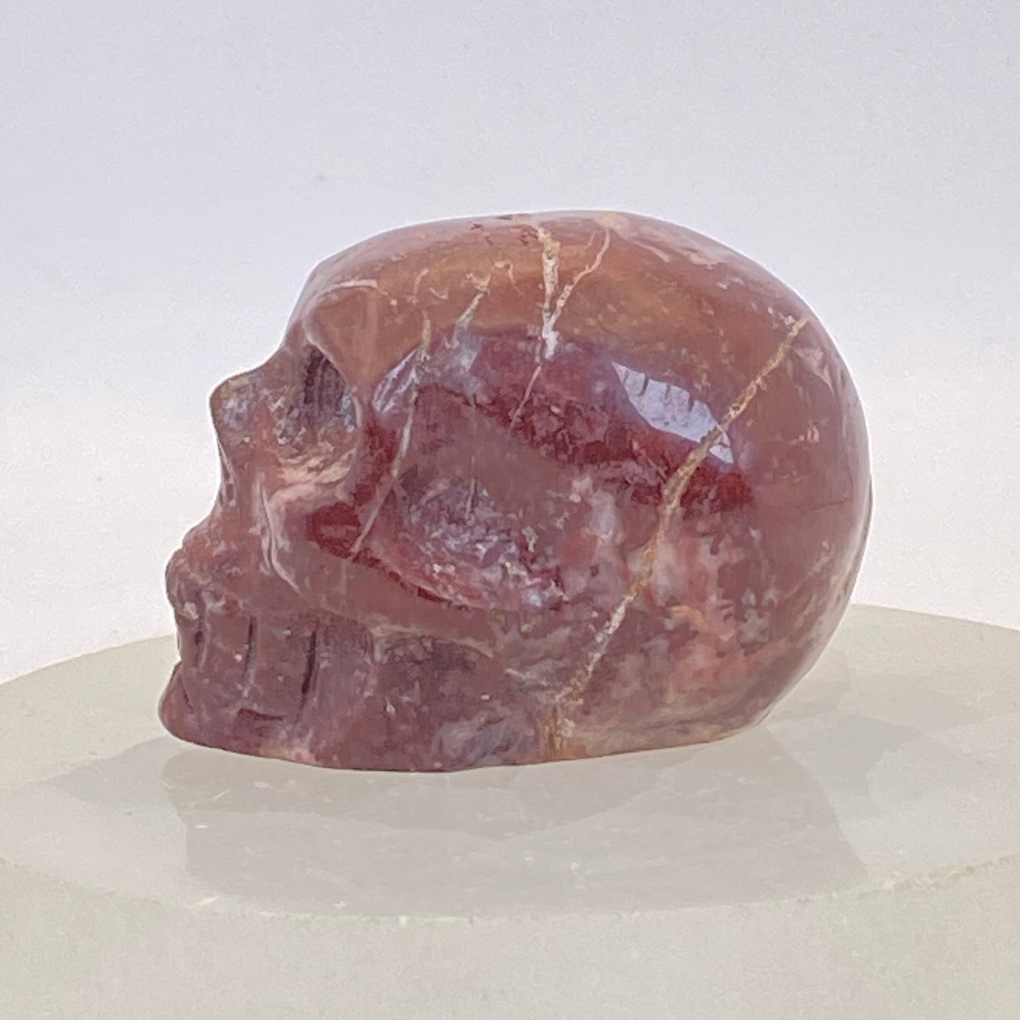 Burgundy Ocean Jasper Skull #3