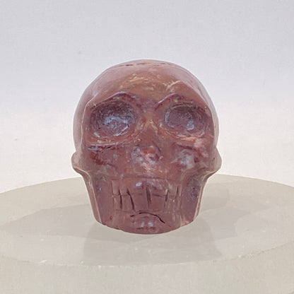 Burgundy Ocean Jasper Skull #3