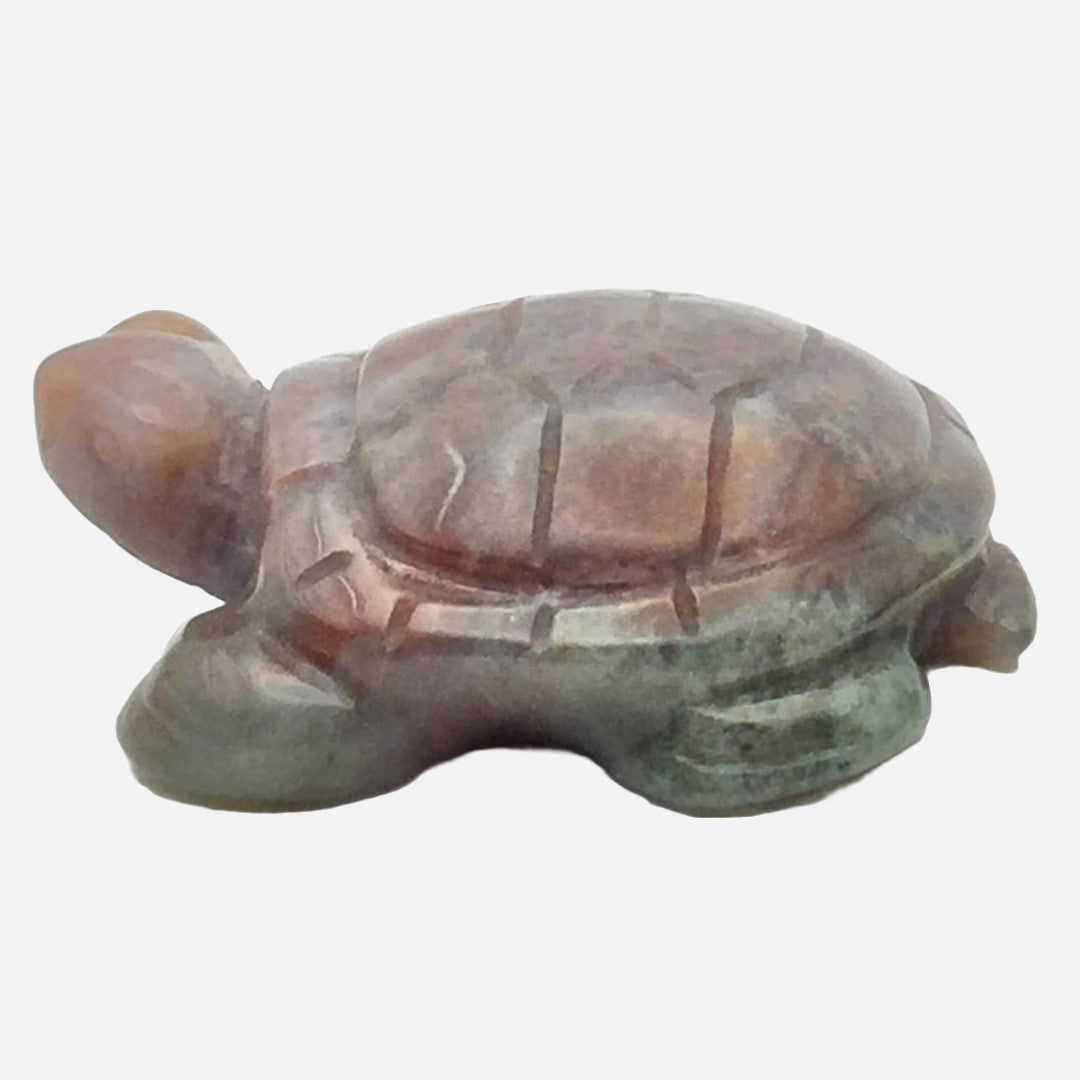 Ocean Jasper Turtle #1