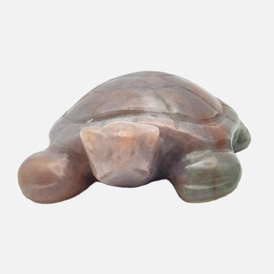 Ocean Jasper Turtle #1