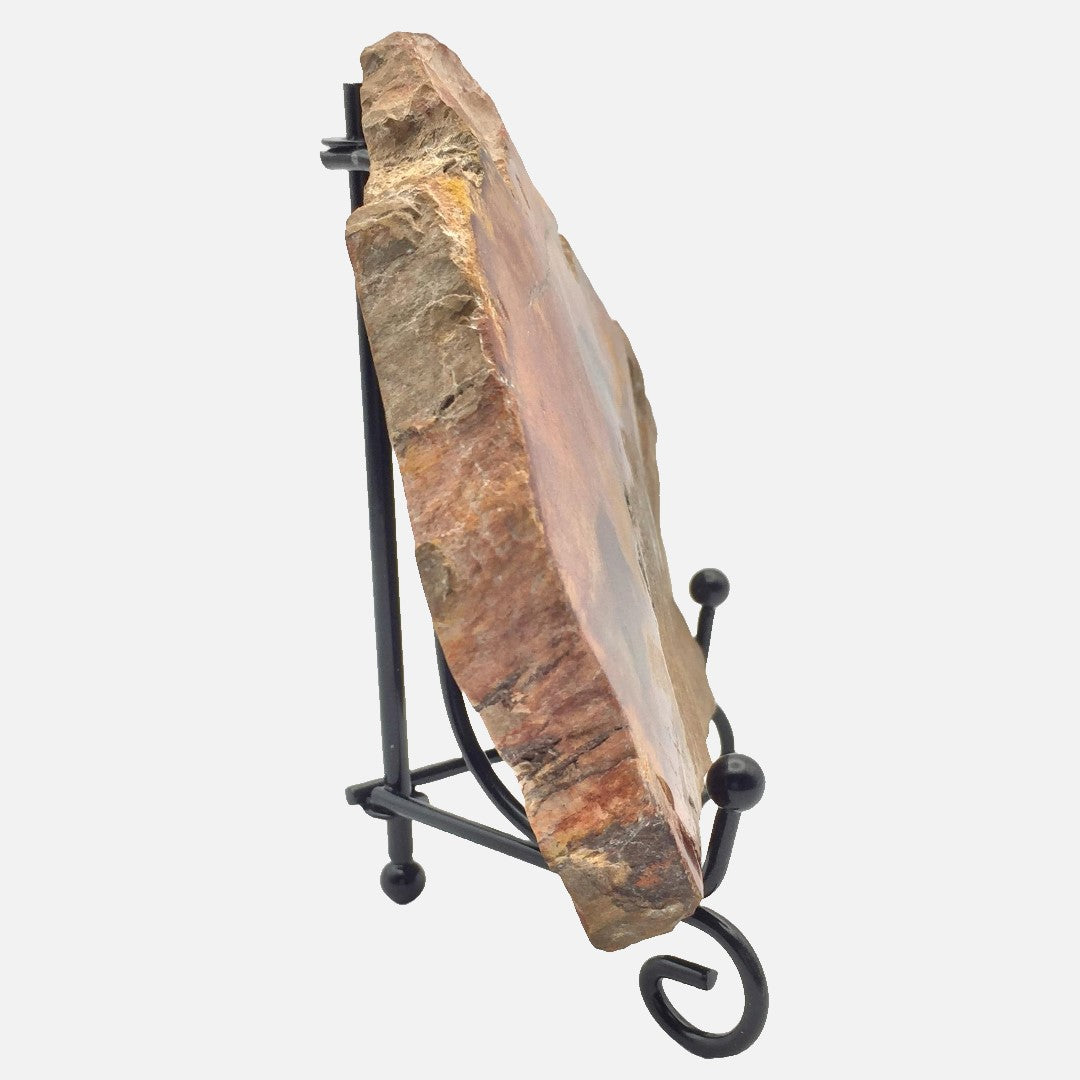 Petrified Wood Slab #3