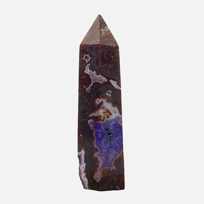 Deep Red Moss Agate with Amethyst Point