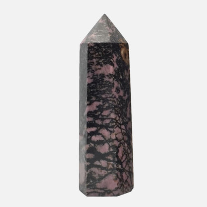 Rhodonite Point #2