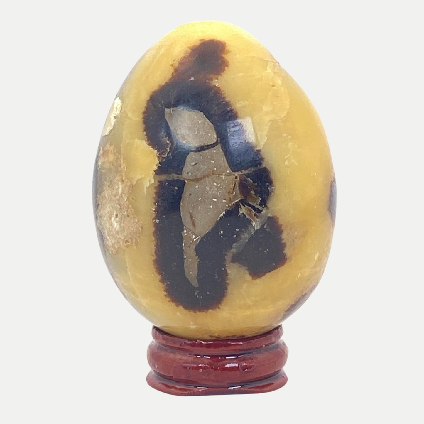 Septarian Egg #1