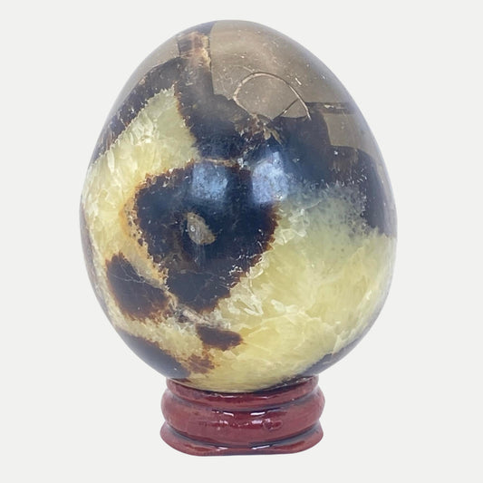 Septarian Egg #2