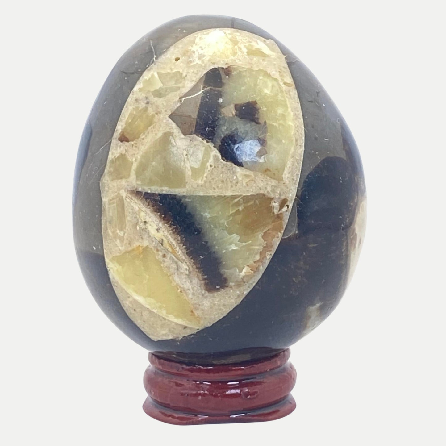 Septarian Egg #3