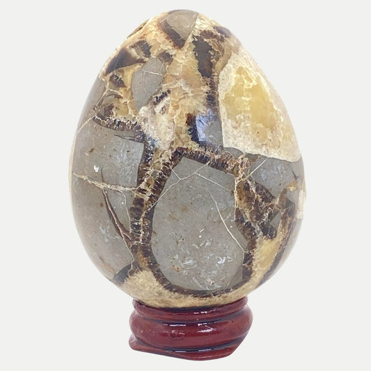 Septarian Egg #4