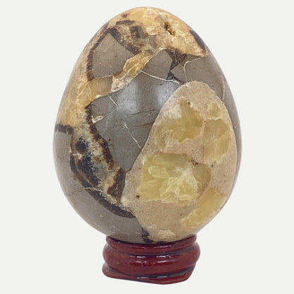 Septarian Egg #4