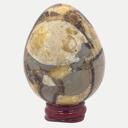 Septarian Egg #4