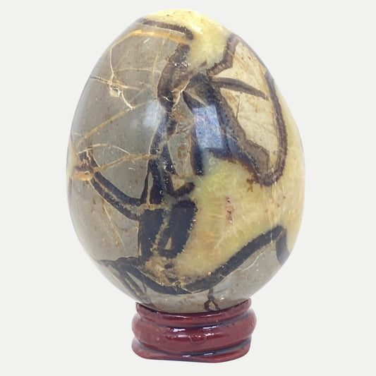 Septarian Egg #5