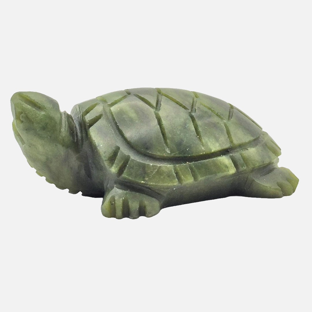 Serpentine Turtle