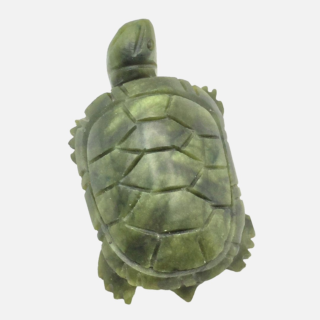 Serpentine Turtle