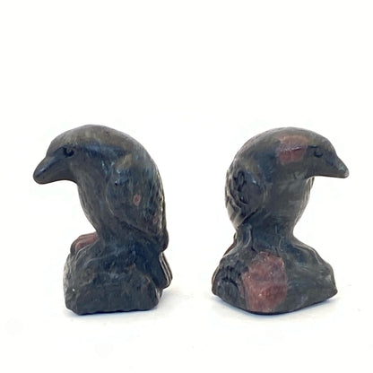 Garnet in Arfvedsonite Raven - Small