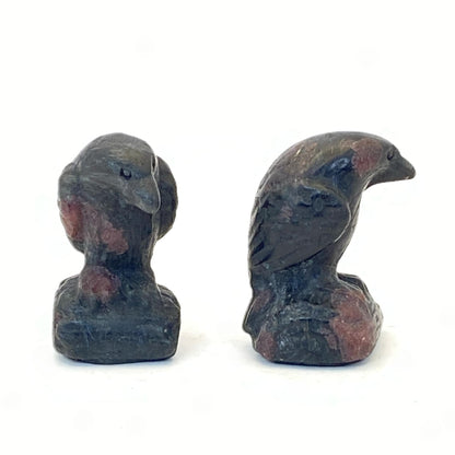 Garnet in Arfvedsonite Raven - Small