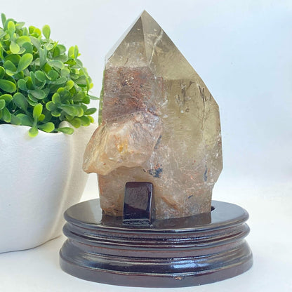 Natural Smokey Quartz Cluster #10 - FREE Custom Stand!