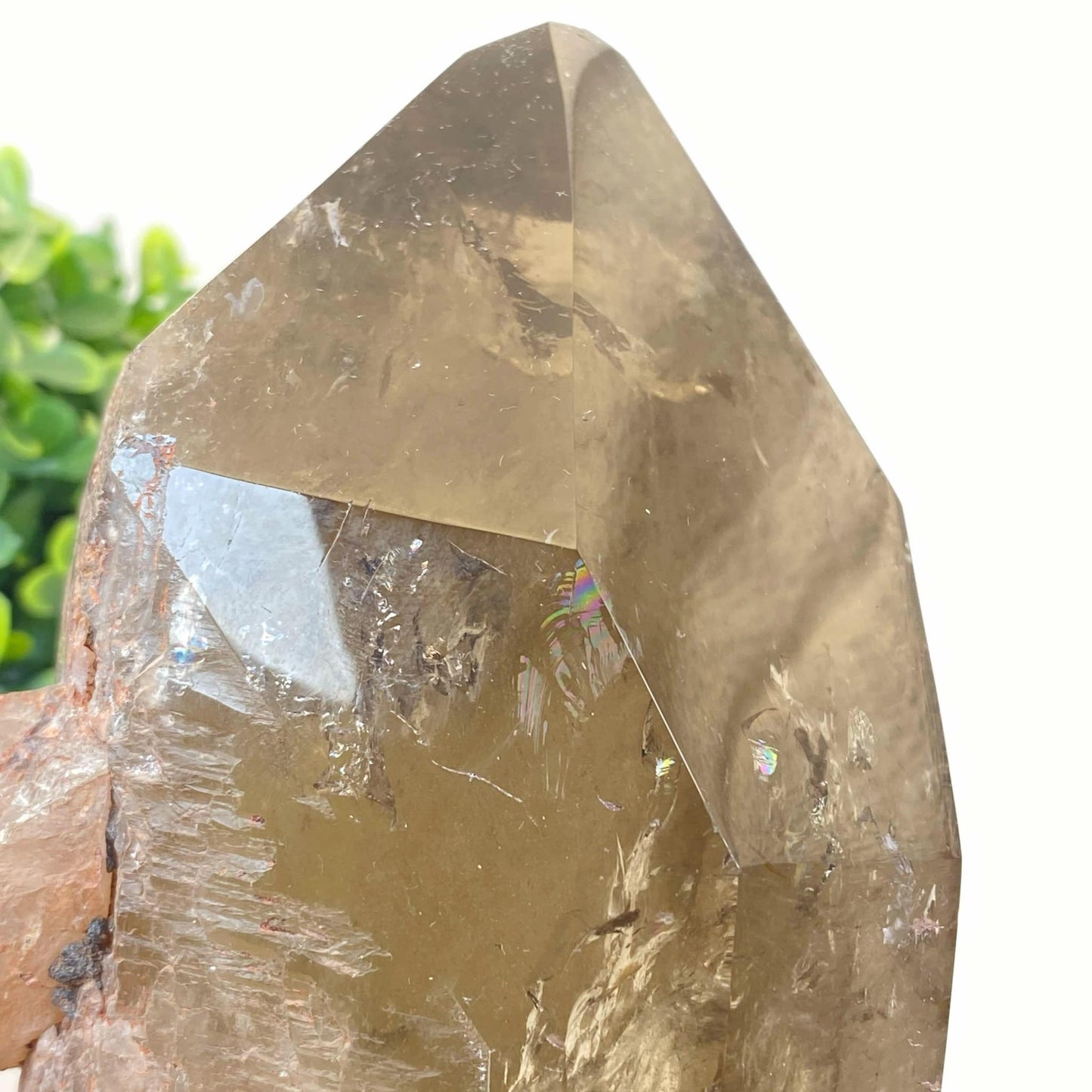 Natural Smokey Quartz Cluster #10 - FREE Custom Stand!