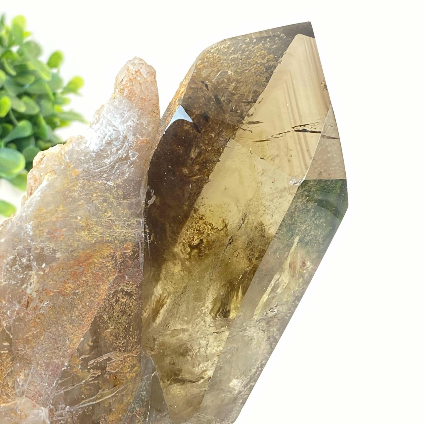 Natural Smokey Quartz Cluster #5 - Phantom!