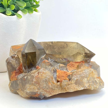 Natural Smokey Quartz Cluster #6