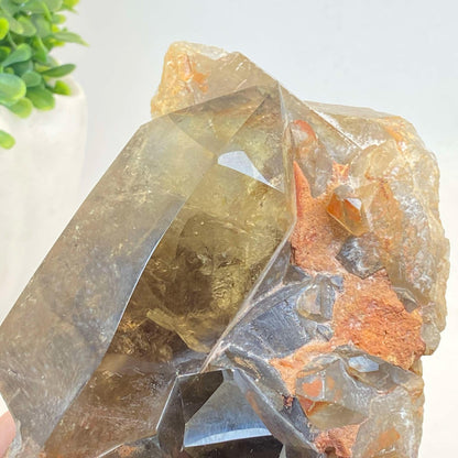 Natural Smokey Quartz Cluster #6