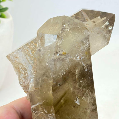 Natural Smokey Quartz Cluster #2