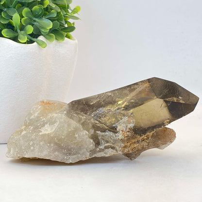 Natural Smokey Quartz Cluster #5 - Phantom!