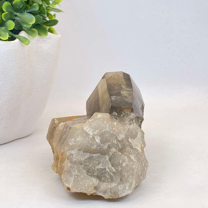 Natural Smokey Quartz Cluster #5 - Phantom!