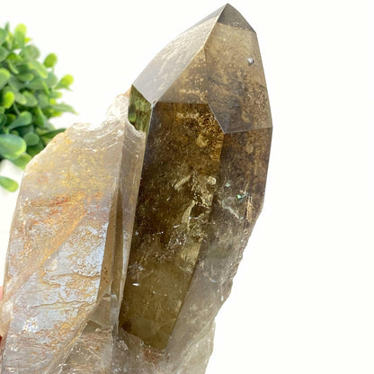 Natural Smokey Quartz Cluster #5 - Phantom!