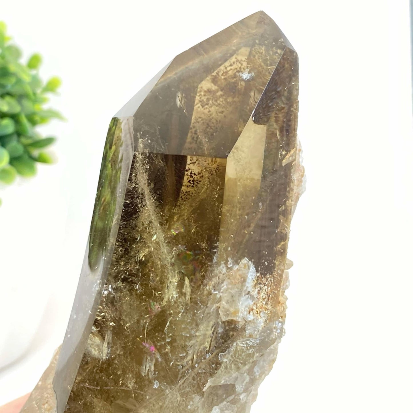 Natural Smokey Quartz Cluster #5 - Phantom!