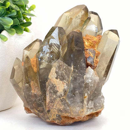 Natural Smokey Quartz Cluster #7