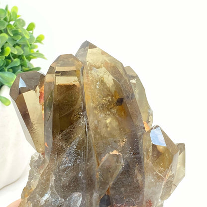 Natural Smokey Quartz Cluster #7