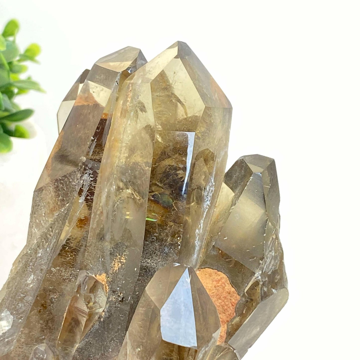 Natural Smokey Quartz Cluster #7