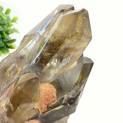 Natural Smokey Quartz Cluster #7