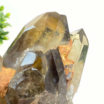 Natural Smokey Quartz Cluster #7