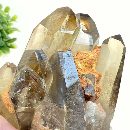 Natural Smokey Quartz Cluster #7