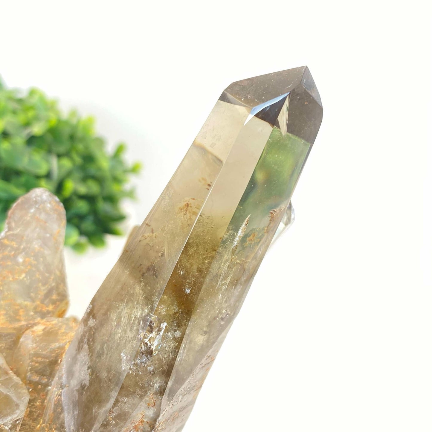 Natural Smokey Quartz Cluster #8 - FREE Custom Stand!