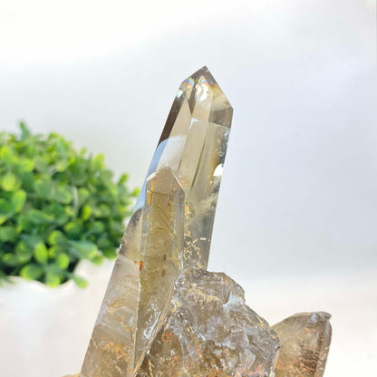 Natural Smokey Quartz Cluster #8 - FREE Custom Stand!