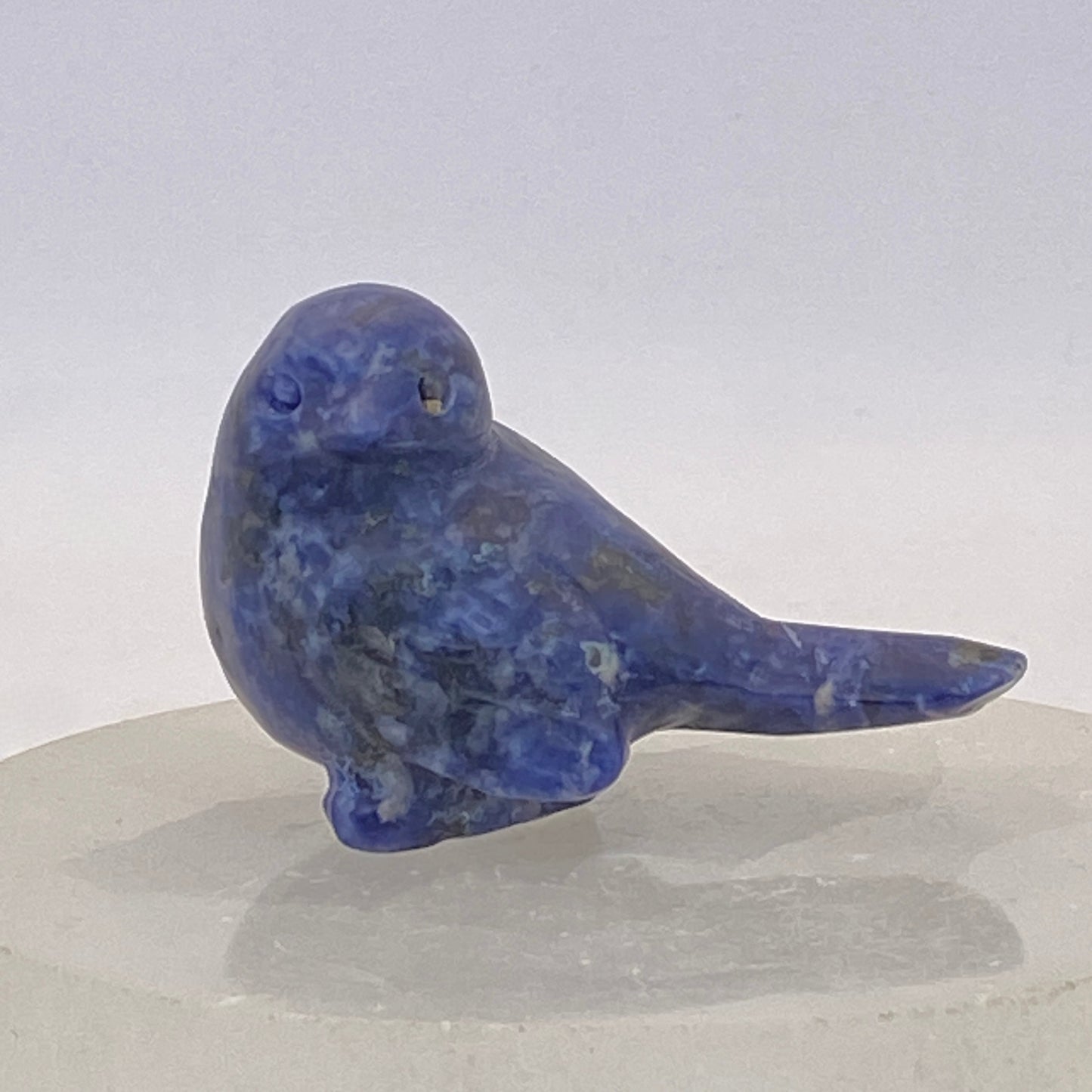 Sodalite Bird