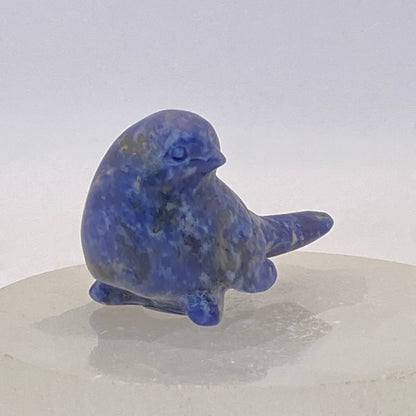 Sodalite Bird